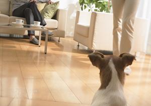 宇都宮の外壁塗装にお勧めの塗装店