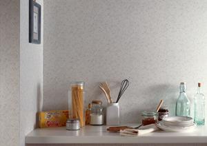 屋根塗装のリフォームが依頼できる