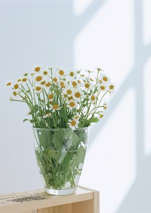 クレバリーホーム 松本店 – 自由設計の理想の住まいを実現する住宅メーカー