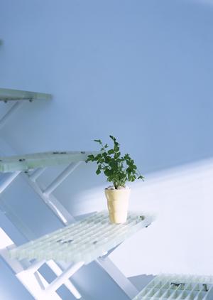 多摩市でリフォームに適した工務店